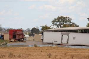 Corowa Slaughterhouse from public road, daytime - Captured at Corowa Slaughterhouse, Redlands NSW Australia.