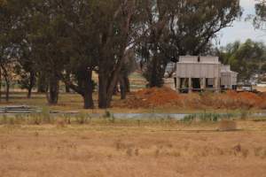 Corowa Slaughterhouse from public road, daytime - Captured at Corowa Slaughterhouse, Redlands NSW Australia.