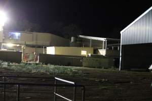 Corowa slaughterhouse outside at night - Captured at Corowa Slaughterhouse, Redlands NSW Australia.