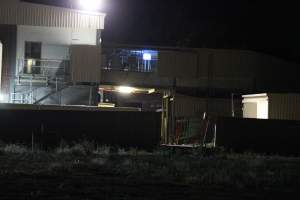 Corowa slaughterhouse outside at night - Captured at Corowa Slaughterhouse, Redlands NSW Australia.