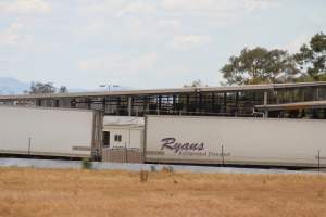 Corowa Slaughterhouse from public road, daytime - Captured at Corowa Slaughterhouse, Redlands NSW Australia.