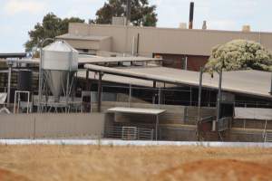 Corowa Slaughterhouse from public road, daytime - Captured at Corowa Slaughterhouse, Redlands NSW Australia.