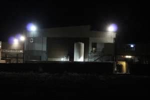 Corowa slaughterhouse outside at night - Captured at Corowa Slaughterhouse, Redlands NSW Australia.