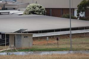 Corowa Slaughterhouse from public road, daytime - Captured at Corowa Slaughterhouse, Redlands NSW Australia.