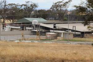 Corowa Slaughterhouse from public road, daytime - Captured at Corowa Slaughterhouse, Redlands NSW Australia.