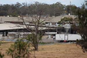 Corowa Slaughterhouse from public road, daytime - Captured at Corowa Slaughterhouse, Redlands NSW Australia.