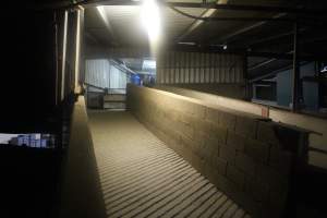 Ramp leading up from holding pens towards kill room - Captured at Corowa Slaughterhouse, Redlands NSW Australia.