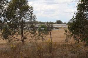 Corowa Slaughterhouse from public road, daytime - Captured at Corowa Slaughterhouse, Redlands NSW Australia.