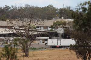 Corowa Slaughterhouse from public road, daytime - Captured at Corowa Slaughterhouse, Redlands NSW Australia.