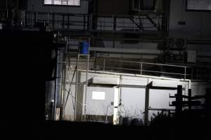 Corowa slaughterhouse outside at night - Captured at Corowa Slaughterhouse, Redlands NSW Australia.