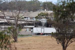 Corowa Slaughterhouse from public road, daytime - Captured at Corowa Slaughterhouse, Redlands NSW Australia.