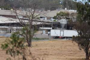 Corowa Slaughterhouse from public road, daytime - Captured at Corowa Slaughterhouse, Redlands NSW Australia.