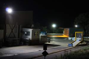 Corowa slaughterhouse outside at night - Captured at Corowa Slaughterhouse, Redlands NSW Australia.