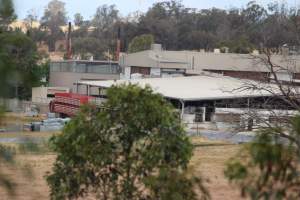 Corowa Slaughterhouse from public road, daytime - Captured at Corowa Slaughterhouse, Redlands NSW Australia.