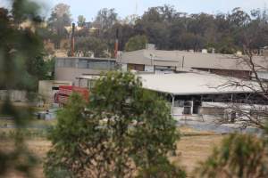 Corowa Slaughterhouse from public road, daytime - Captured at Corowa Slaughterhouse, Redlands NSW Australia.