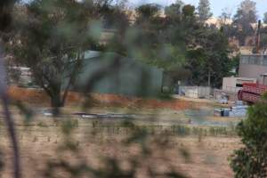 Corowa Slaughterhouse from public road, daytime - Captured at Corowa Slaughterhouse, Redlands NSW Australia.