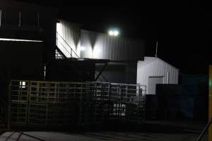 Corowa slaughterhouse outside at night - Captured at Corowa Slaughterhouse, Redlands NSW Australia.