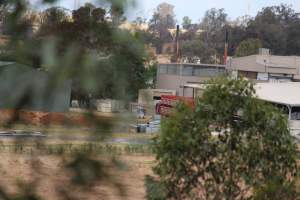 Corowa Slaughterhouse from public road, daytime - Captured at Corowa Slaughterhouse, Redlands NSW Australia.