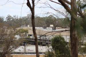 Corowa Slaughterhouse from public road, daytime - Captured at Corowa Slaughterhouse, Redlands NSW Australia.