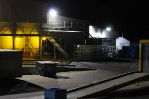 Corowa slaughterhouse outside at night - Captured at Corowa Slaughterhouse, Redlands NSW Australia.