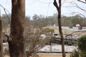 Corowa Slaughterhouse from public road, daytime - Captured at Corowa Slaughterhouse, Redlands NSW Australia.