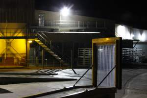 Corowa slaughterhouse outside at night - Captured at Corowa Slaughterhouse, Redlands NSW Australia.