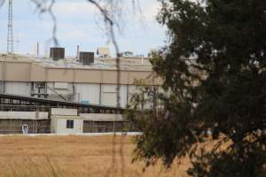 Corowa Slaughterhouse from public road, daytime - Captured at Corowa Slaughterhouse, Redlands NSW Australia.