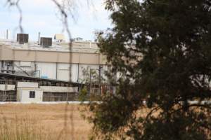 Corowa Slaughterhouse from public road, daytime - Captured at Corowa Slaughterhouse, Redlands NSW Australia.