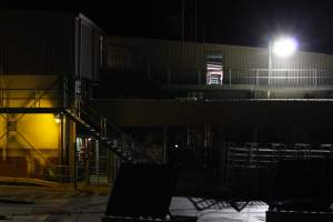 Corowa slaughterhouse outside at night - Captured at Corowa Slaughterhouse, Redlands NSW Australia.