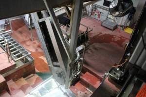 Killing and processing area after gas chamber - Captured at Corowa Slaughterhouse, Redlands NSW Australia.