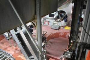 Killing and processing area after gas chamber - Captured at Corowa Slaughterhouse, Redlands NSW Australia.