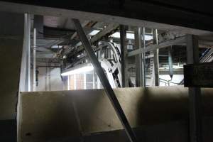 Killing and processing area after gas chamber - Captured at Corowa Slaughterhouse, Redlands NSW Australia.