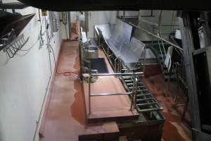 Killing and processing area after gas chamber - Captured at Corowa Slaughterhouse, Redlands NSW Australia.