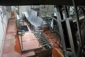 Killing and processing area after gas chamber - Captured at Corowa Slaughterhouse, Redlands NSW Australia.