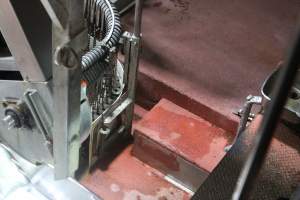 Killing and processing area after gas chamber - Captured at Corowa Slaughterhouse, Redlands NSW Australia.