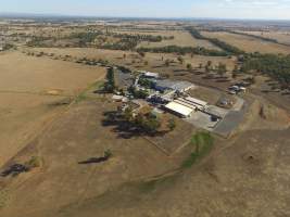 Drone flyover of Corowa Slaughterhouse - Captured at Corowa Slaughterhouse, Redlands NSW Australia.