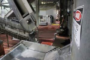 Killing and processing area after gas chamber - Captured at Corowa Slaughterhouse, Redlands NSW Australia.