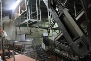 Killing and processing area after gas chamber - Captured at Corowa Slaughterhouse, Redlands NSW Australia.