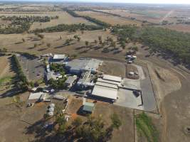 Drone flyover of Corowa Slaughterhouse - Captured at Corowa Slaughterhouse, Redlands NSW Australia.