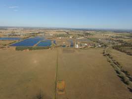 Drone flyover of Corowa Piggery - Captured at Corowa Slaughterhouse, Redlands NSW Australia.