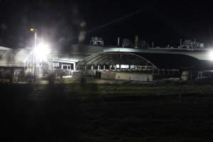 Holding pens - Big River Pork slaughterhouse at night - Captured at Big River Pork Abattoir, Brinkley SA Australia.