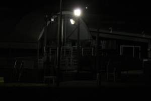 Holding pens - Big River Pork slaughterhouse at night - Captured at Big River Pork Abattoir, Brinkley SA Australia.