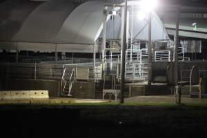 Holding pens - Big River Pork slaughterhouse at night - Captured at Big River Pork Abattoir, Brinkley SA Australia.