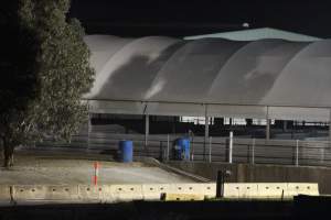 Holding pens - Big River Pork slaughterhouse at night - Captured at Big River Pork Abattoir, Brinkley SA Australia.