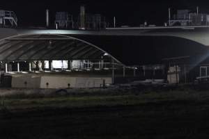 Holding pens - Big River Pork slaughterhouse at night - Captured at Big River Pork Abattoir, Brinkley SA Australia.