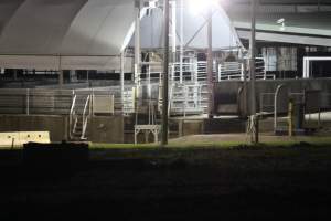 Holding pens - Big River Pork slaughterhouse at night - Captured at Big River Pork Abattoir, Brinkley SA Australia.