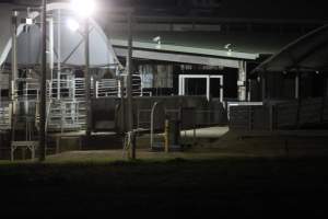 Holding pens - Big River Pork slaughterhouse at night - Captured at Big River Pork Abattoir, Brinkley SA Australia.