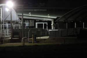 Holding pens - Big River Pork slaughterhouse at night - Captured at Big River Pork Abattoir, Brinkley SA Australia.