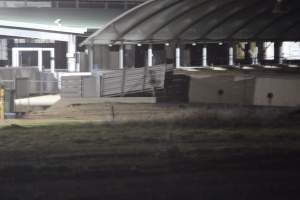 Holding pens - Big River Pork slaughterhouse at night - Captured at Big River Pork Abattoir, Brinkley SA Australia.