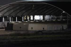 Holding pens - Big River Pork slaughterhouse at night - Captured at Big River Pork Abattoir, Brinkley SA Australia.